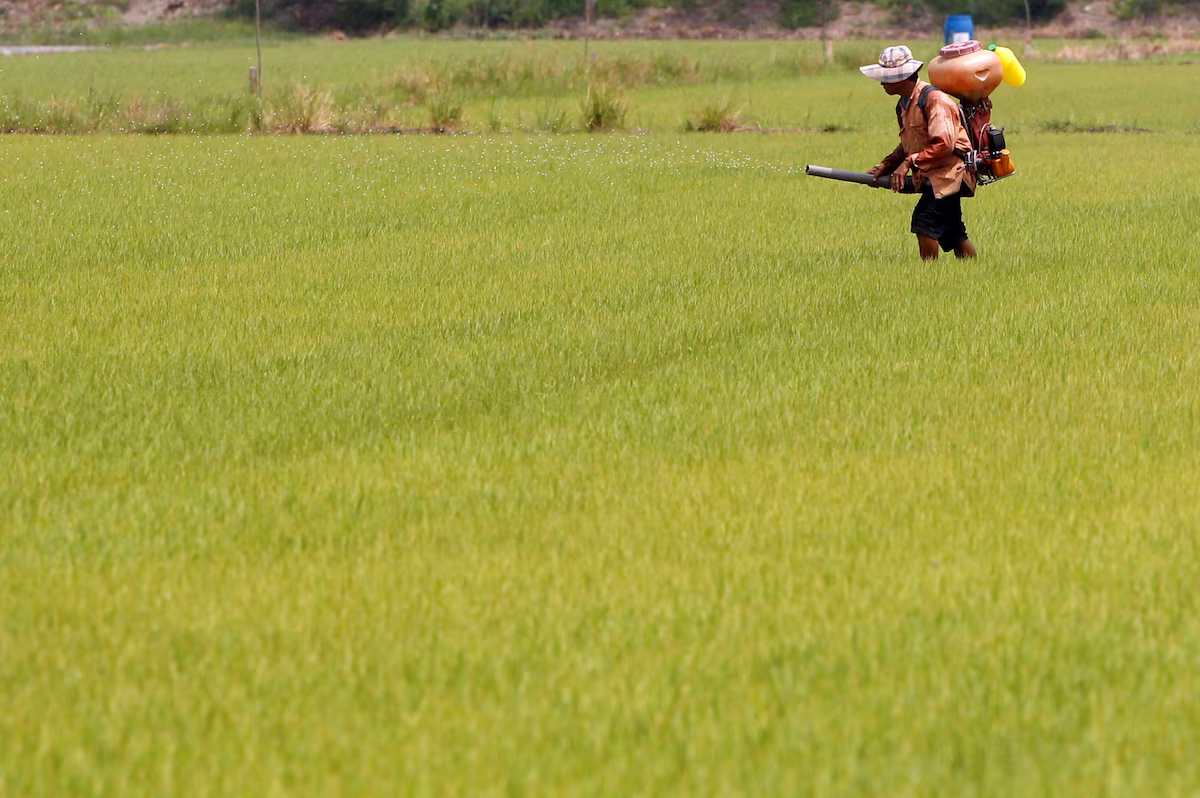 Thailand seeks cooperation with India, Vietnam to support falling rice prices