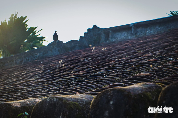 Tich Thien Duong House features yin-yang tiled roof in Thai Lai Village in Hoa Nhon Commune, Hoa Vang District, Da Nang City, central Vietnam. Photo: Thanh Nguyen / Tuoi Tre