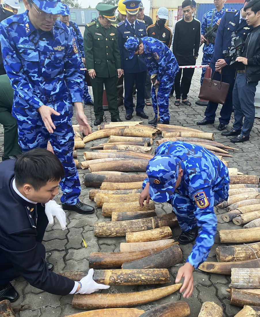 Vietnam launches anti-ivory trade campaign targeting tourists