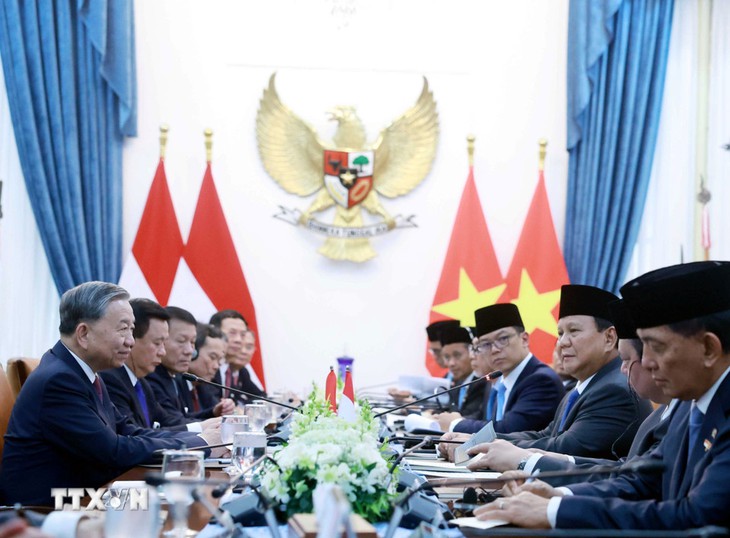 An overview of the talks between the Vietnamese delegation led by Party General Secretary To Lam (L), and its Indonesia counterpart headed by President Prabowo Subianto in Jakarta, March 10, 2025. Photo: Vietnam News Agency