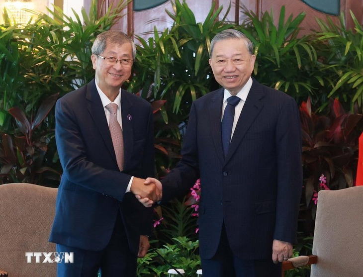 Lim Boon Heng (L), chairman of investment firm Temasek in Singapore, shakes hands with Vietnamese Party General Secretary To Lam during his visit to the city-state, March 11, 2025. Photo: Vietnam News Agency