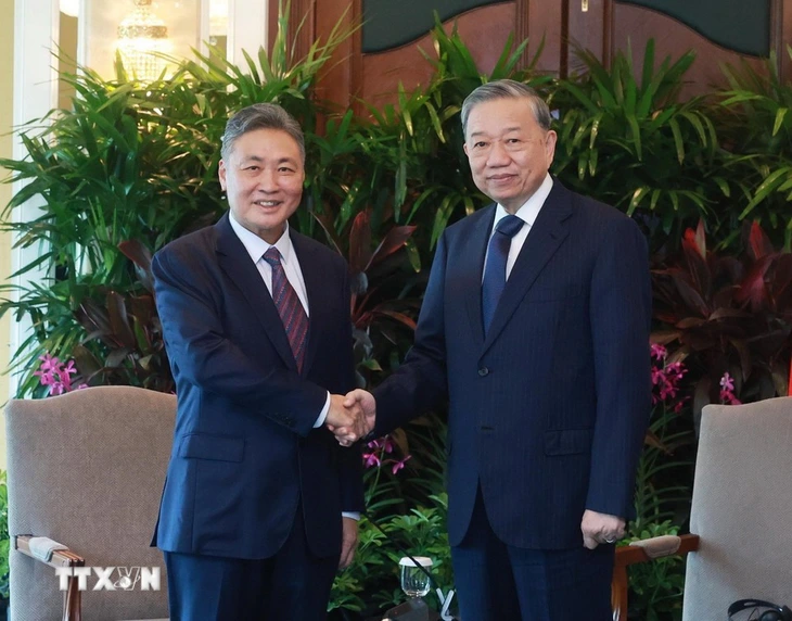 Vietnamese Party General Secretary To Lam (R) welcomes Tow Heng Tan, chairman of energy and urban developer Sembcorp Industries, during their meeting in Singapore, March 11, 2025. Photo: Vietnam News Agency