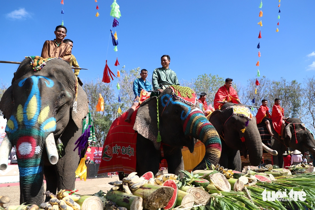 Tourists excitedly watch elephants enjoy fruit buffet in Vietnam’s Dak Lak