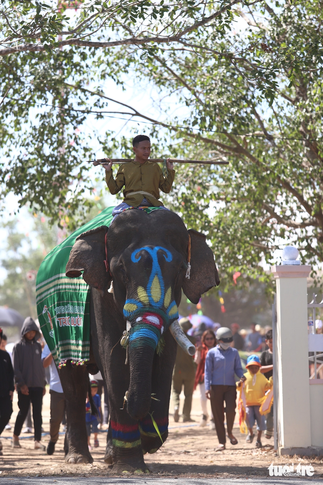 Elephants are decorated at the 2025 Buon Don Elephant Festival in Dak Lak Province on March 12, 2025. Photo: Trung Tan / Tuoi Tre