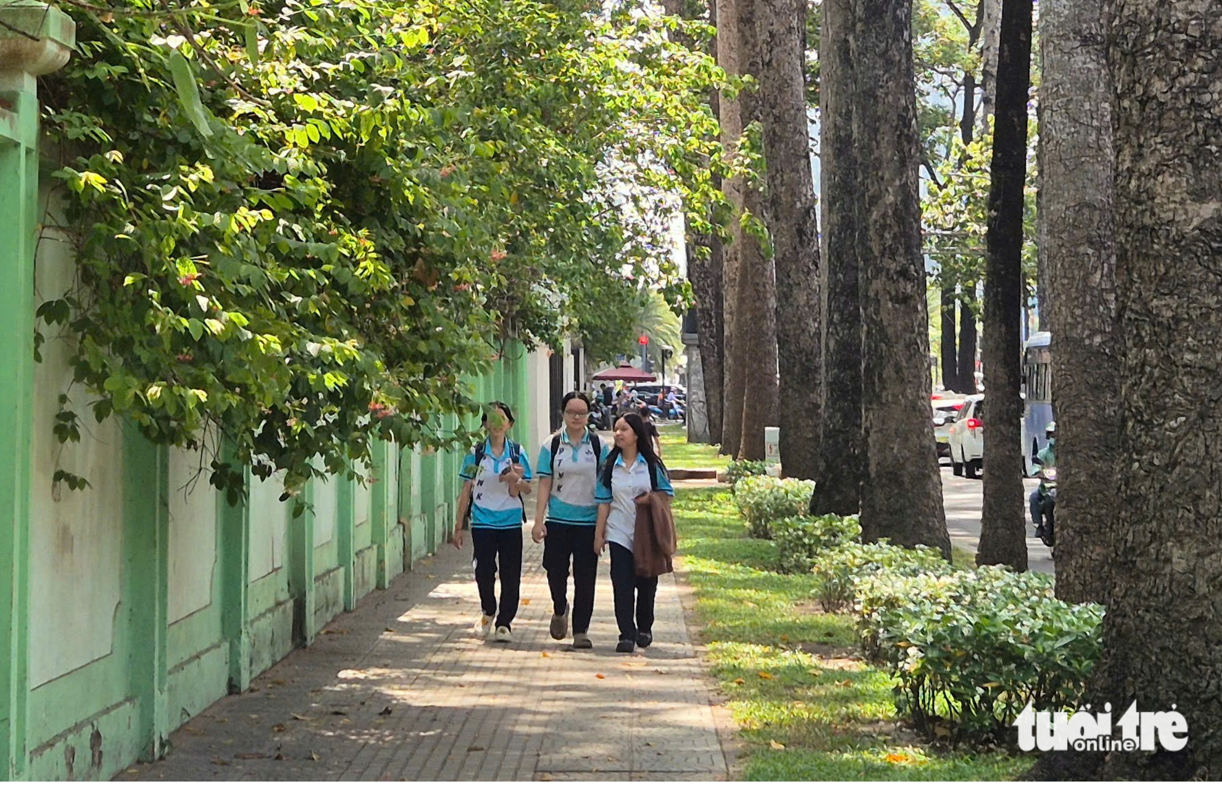 The tree-lined Nguyen Binh Khiem Street in District 1 provides some relief from the sweltering heat. Photo: Long Vu / Tuoi Tre