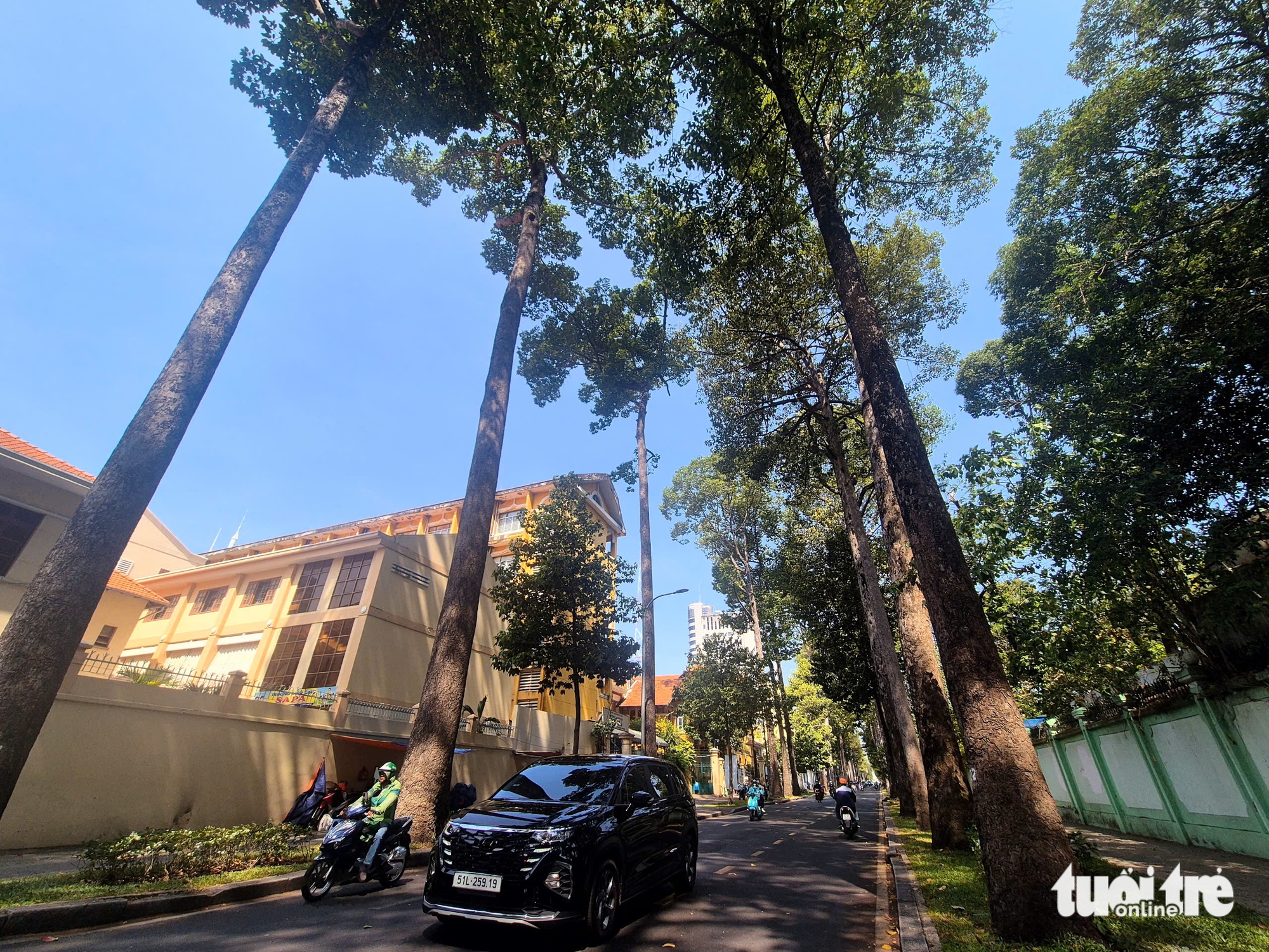 Tree-lined streets have slightly cooler temperatures. Photo: Long Vu / Tuoi Tre