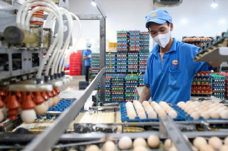 Vietnamese firms find it hard to export eggs to US amid latter’s shortage