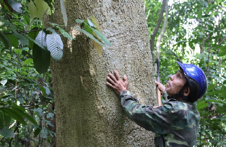 Nguyen Dinh Trong in the Ru Linh Forest in Quang Tri Province. Photo: Hoang Tao / Tuoi Tre