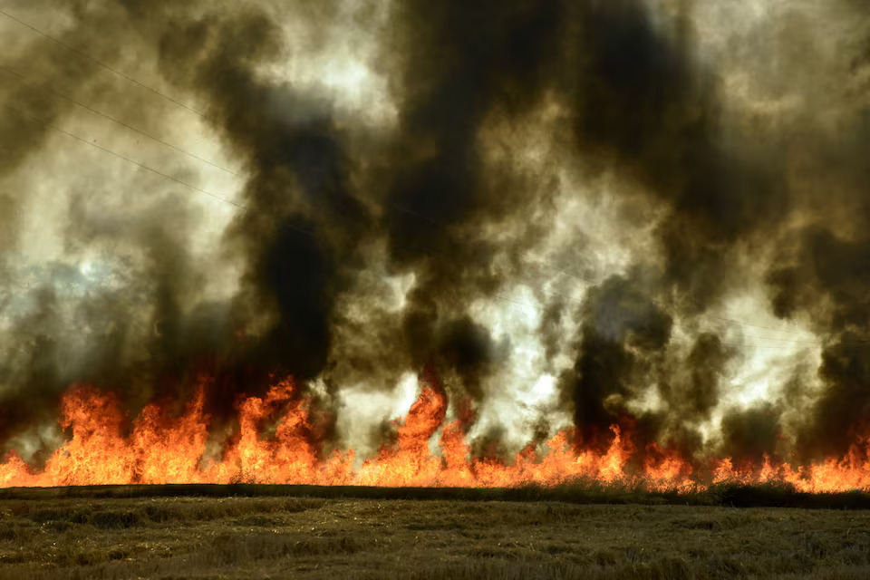 Smoke rises as fire burns, following the spread of wildfires near Lautaro, Chile February 9, 2025. Photo: Reuters