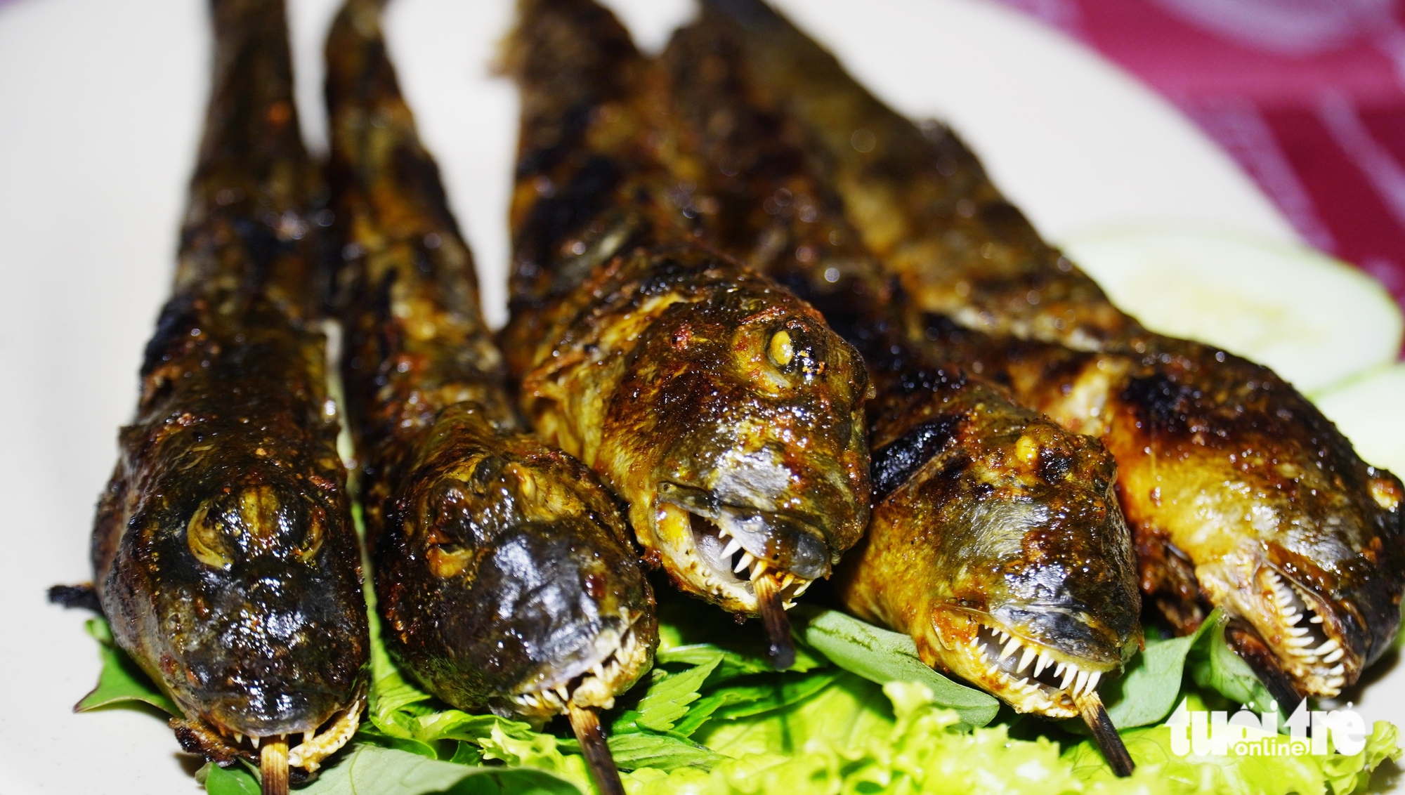 Grilled giant mudskippers, a specialty of Ca Mau’s mangrove forests. Photo: Thanh Huyen / Tuoi Tre