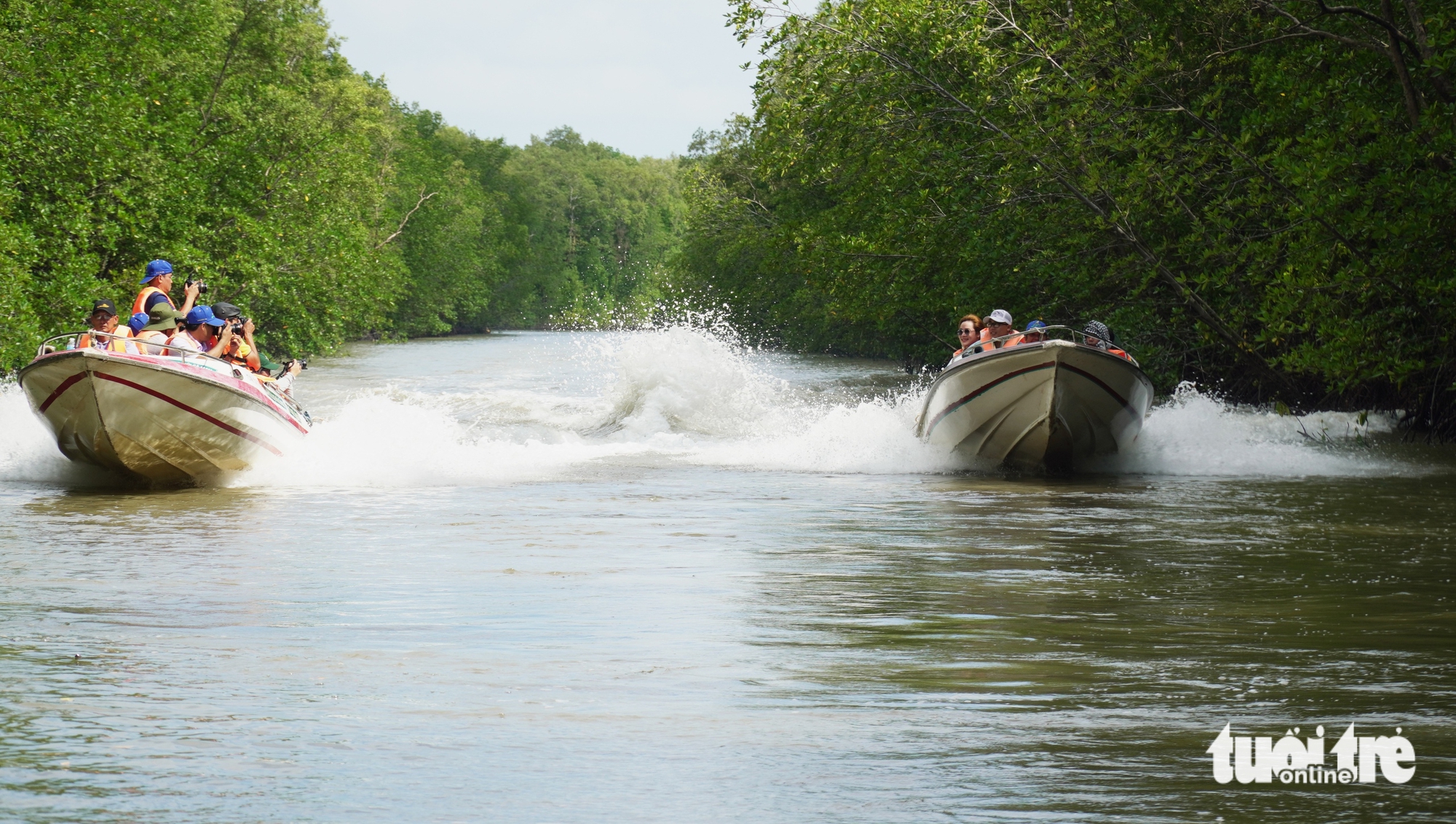 Tourists visit Ca Mau’s mangrove forests on speedboats. Photo: Thanh Huyen / Tuoi Tre