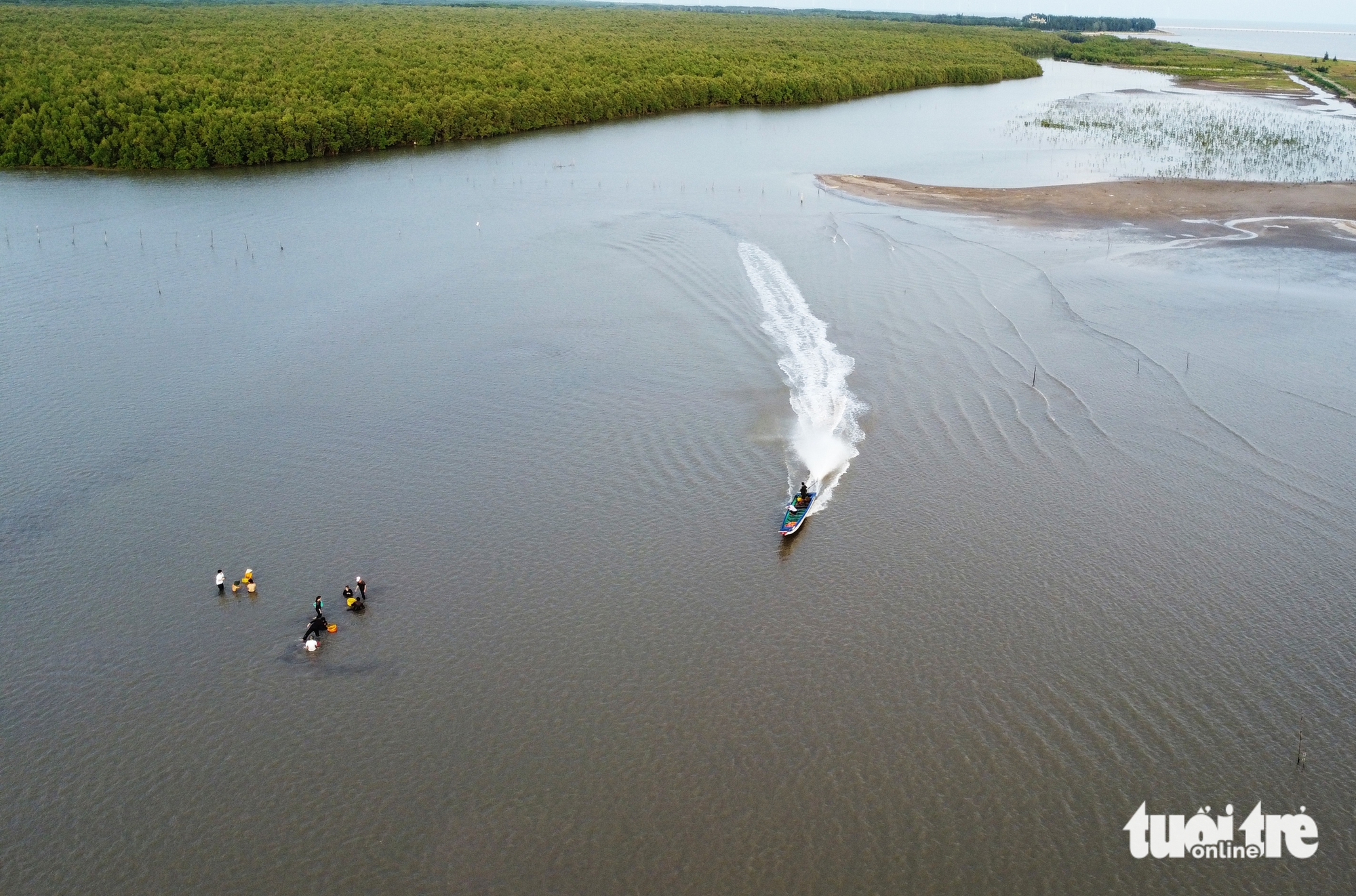 Tourists collect clams at Ca Mau’s mangrove forests. Photo: Thanh Huyen / Tuoi Tre