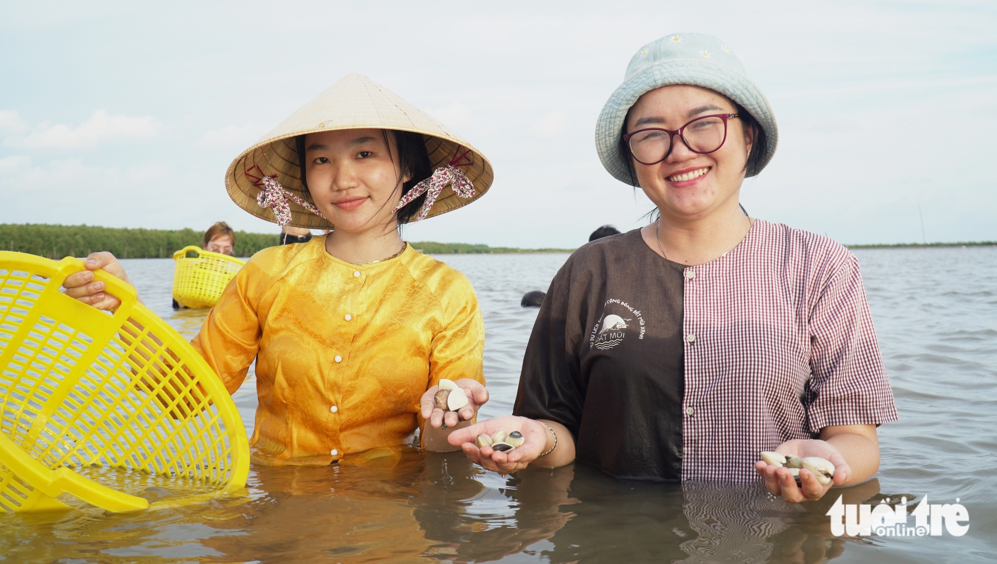 Tourists collect clams at Ca Mau’s mangrove forests. Photo: Thanh Huyen / Tuoi Tre