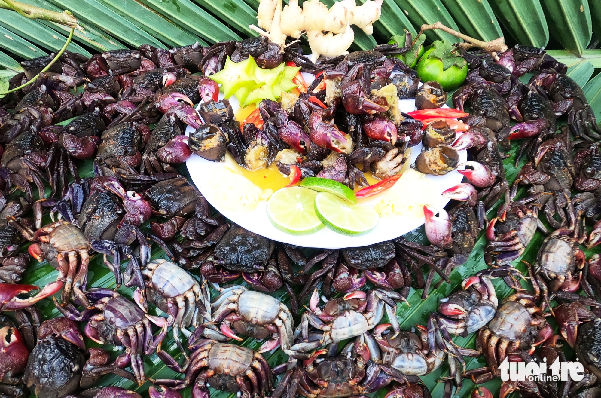 Salted three-striped crabs from Ca Mau’s mangrove forests. Photo: Thanh Huyen / Tuoi Tre