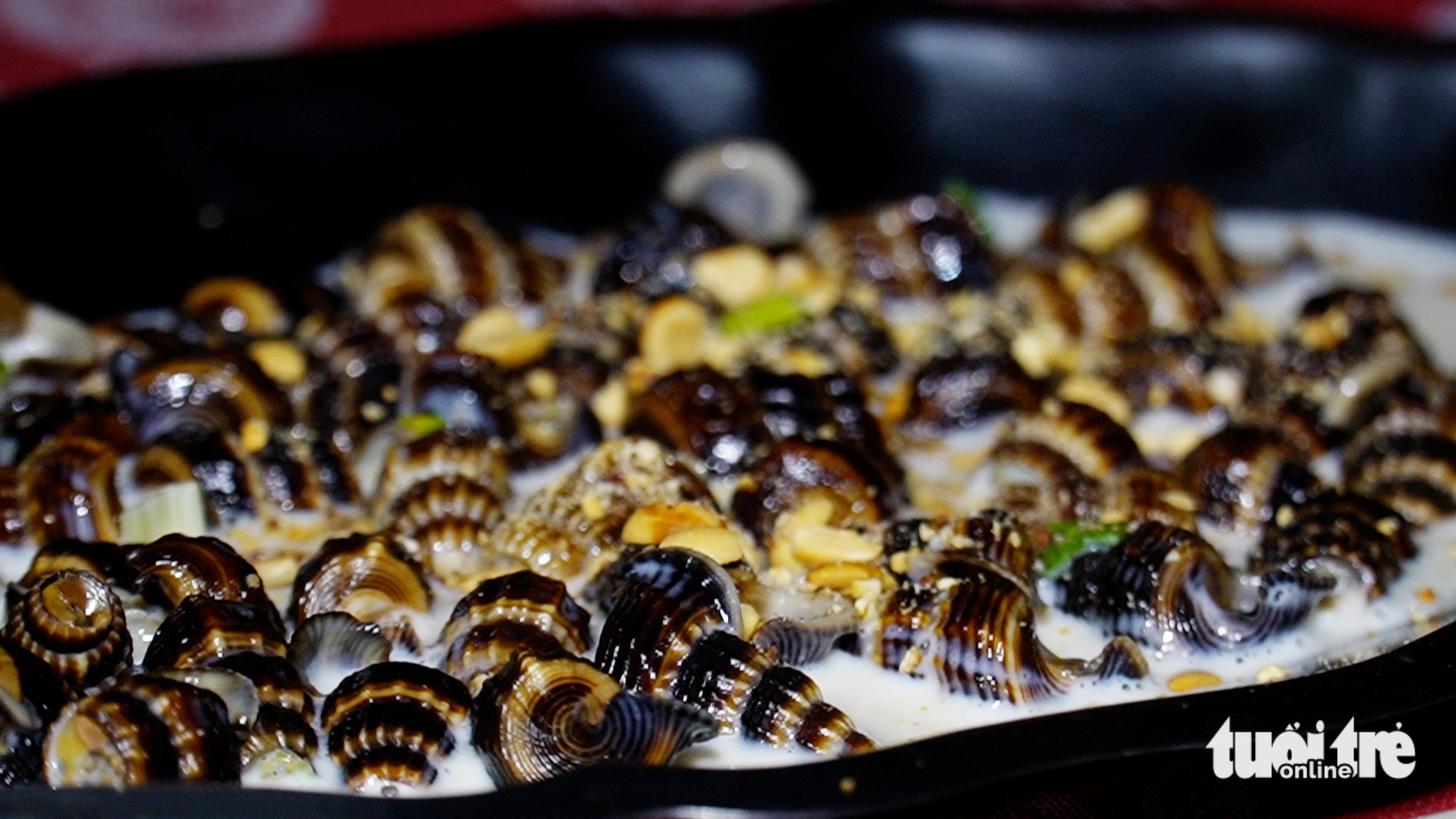 Mud creepers stir-fried with coconut milk, a specialty of Ca Mau’s mangrove forests. Photo: Thanh Huyen / Tuoi Tre