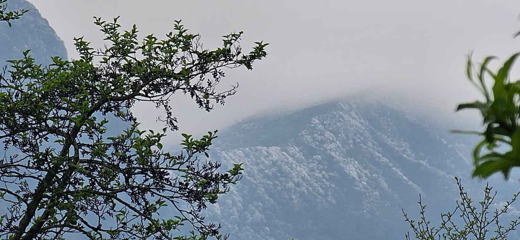 Ta Xua mountain in northern Vietnam sees rare March frost