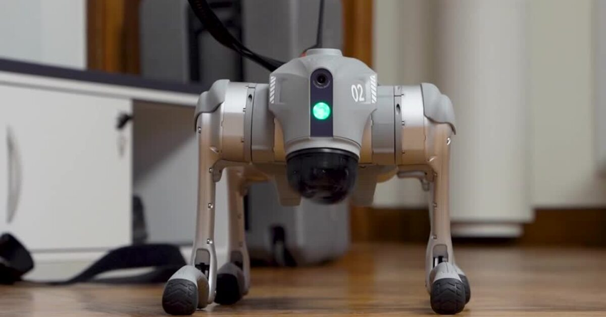 Robot dog learns, adapts like humans, Swedish AI startup IntuiCell says