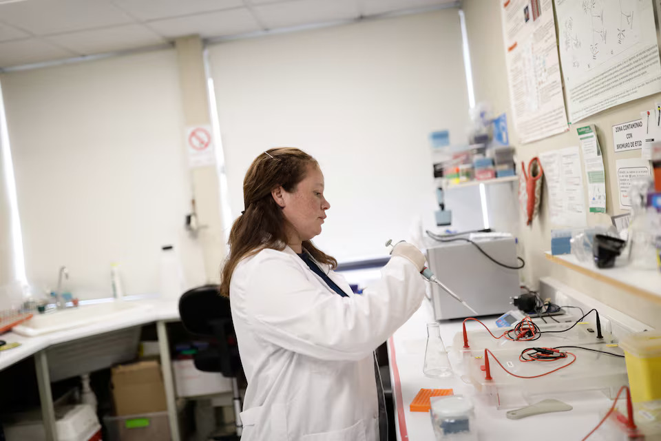 [7/7] Dr. Maribet Gamboa, an academic at the Faculty of Sciences of the Catholic University of the Most Holy Conception works with samples of a Patagonian dragon insect in a laboratory where she conducts a study that includes finding out the state of the Patagonian glaciers and why this endemic insect lives exclusively in Patagonia, in Concepcion, Chile March 7, 2025. Photo: Reuters