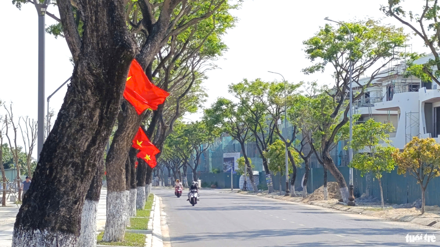 Trees along the riverside sidewalk of Thang Long Street in Da Nang City. Photo: Doan Cuong / Tuoi Tre